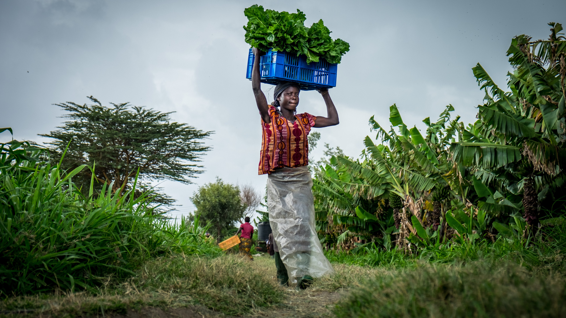 Woman in forest carries basket on vegetables as she walks through a clearing